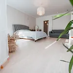 Rueuetli 24-2