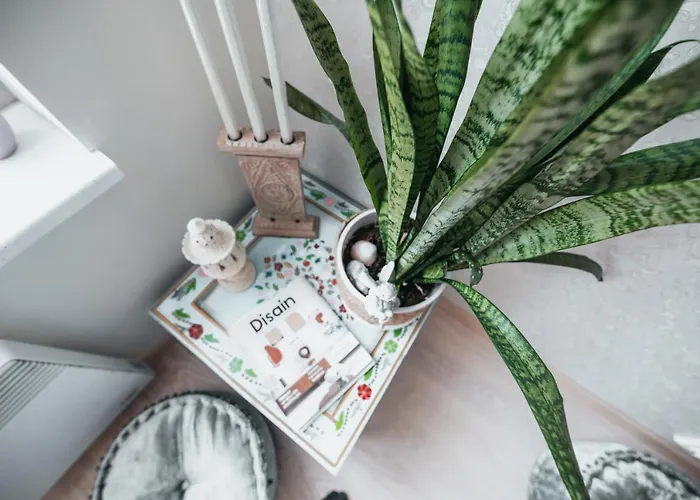 Rueuetli 24-2 * Parnu